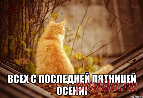 Мне &quot;черную метку&quot; подбросили - 
На улице мокрый бедлам... 
Последняя пятница осени, 
Но радости нет ни на грамм... 

Кутить откровенно не хочется, 
Танцполе собой сотрясать... 
Поземка - седая пророчица - 
Свою прыть покажет опять