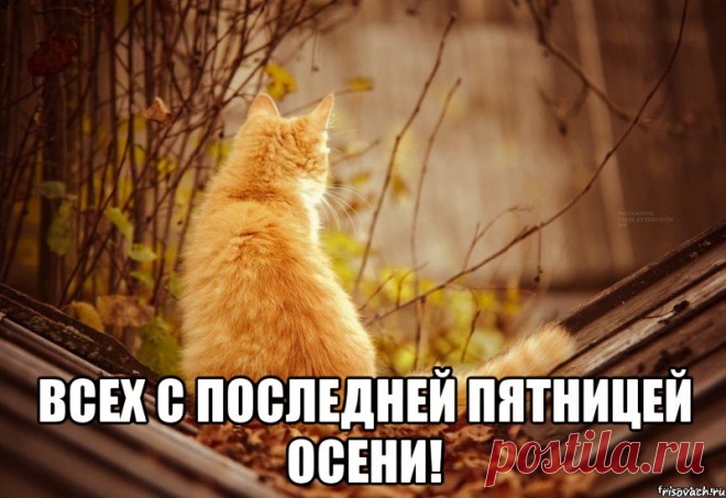 Мне "черную метку" подбросили - 
На улице мокрый бедлам... 
Последняя пятница осени, 
Но радости нет ни на грамм... 

Кутить откровенно не хочется, 
Танцполе собой сотрясать... 
Поземка - седая пророчица - 
Свою прыть покажет опять