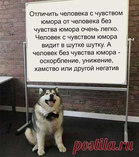 (62) Константин Урпин