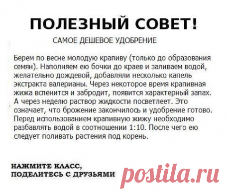 ● Чтобы не потерять эту информацию, жмите &quot;Класс!&quot; и &quot;Поделиться&quot;