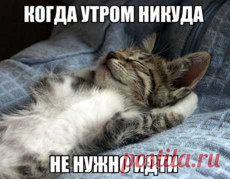 весёлые картинки для поднятия настроения – Google Поиск