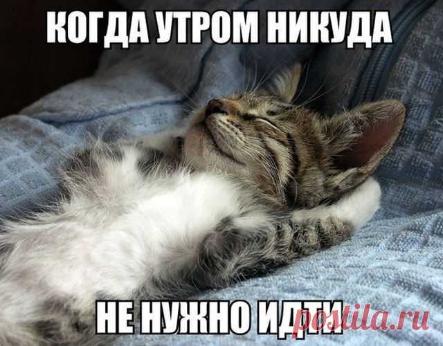 весёлые картинки для поднятия настроения – Google Поиск