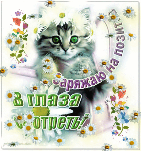 Заряжаю на позитив! - Хорошего настроения! - GIF-ки на каждый день - GIF-открытки - ОТКРЫТКИ...