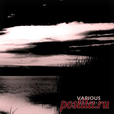 VA – Dub Addict Vol.3 [Space Of Variants] — Dub Techno 2026 (FLAC) - Dub Techno - Musicvibez