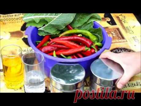 Острый маринованный перец "Горгона". СМАЧНО!
