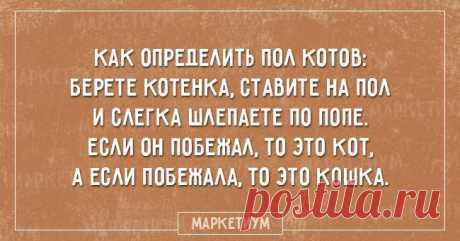 20 остроумных открыток с сарказмом Многие люди не воспринимают шутки, когда они касаются конкретно их.
Беспощадная, но довольно конструктивная критика вызывает у них возмущение.
Мы сделали подборку остроумных открыток и советует вам, ч...