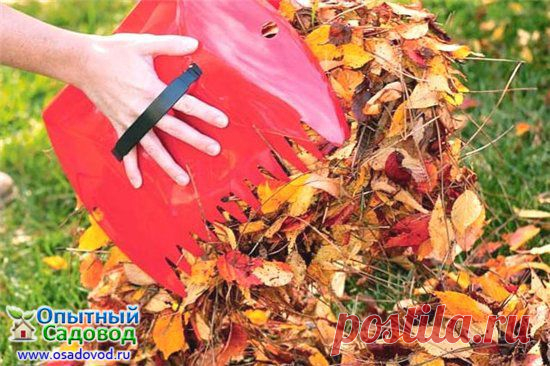 Куда сложить опавшую листву или как сделать листовой компост