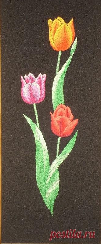 Яндекс.Фотки