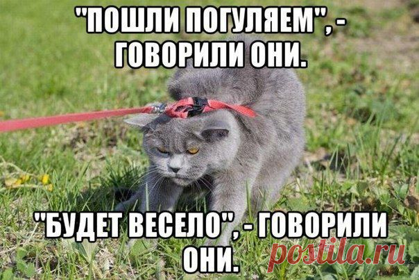 Fishki.net - Сайт хорошего настроения