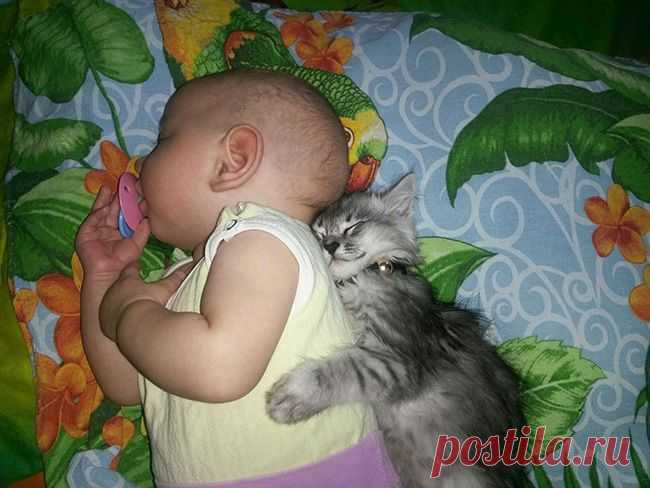 Дети и их 4-лапые друзья )))