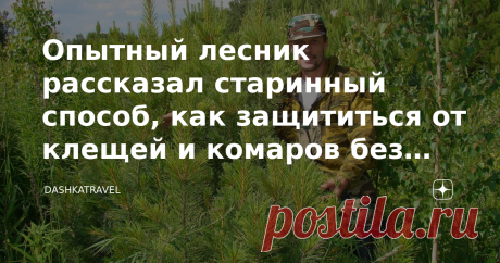 Опытный лесник рассказал старинный способ, как защититься от клещей и комаров без покупной "химии". Клещи и комары боятся Конец весны-начало лета — самый разгар сезона клещей, переносчиков опасных инфекций, но на деле подцепить их в лесу можно до середины осени. Кроме того, в лесах хватает комаров, от которых не спасает даже одежда. Безусловно, вы можете приобрести в любом супермаркете репеллент, однако их состав тоже не самый полезный для нашего здоровья. Вещество может п...