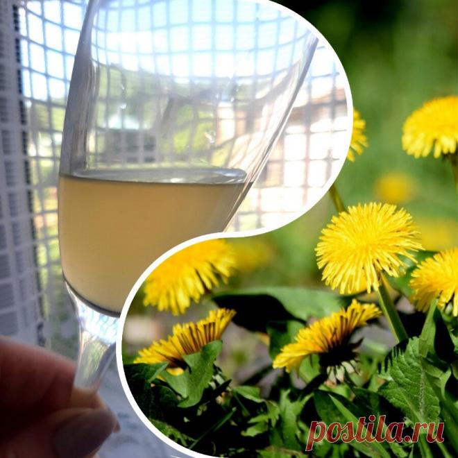 Вино из одуванчиков. Сохраните этот рецепт на следующее лето. | Понемногу обо всем | Яндекс Дзен