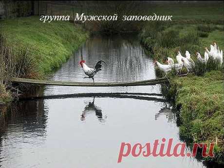 Дружным коллективом идем на корпоратив в соседнее село...)))