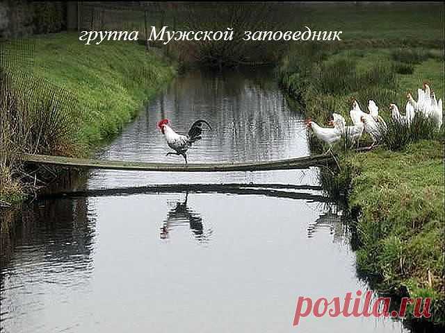 Дружным коллективом идем на корпоратив в соседнее село...)))