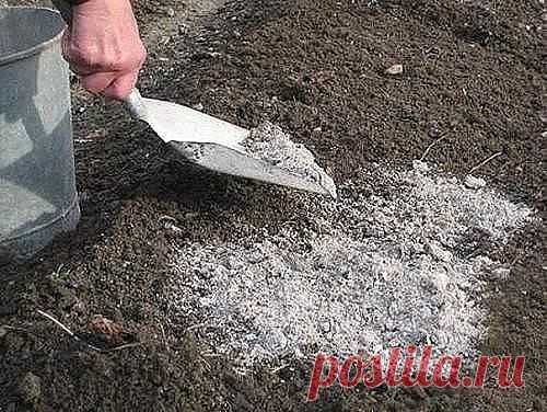 (1) Одноклассники