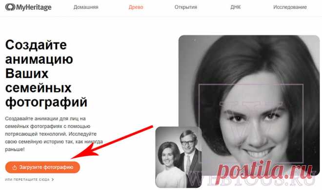 MyHeritage – оживление лиц на фотографиях онлайн