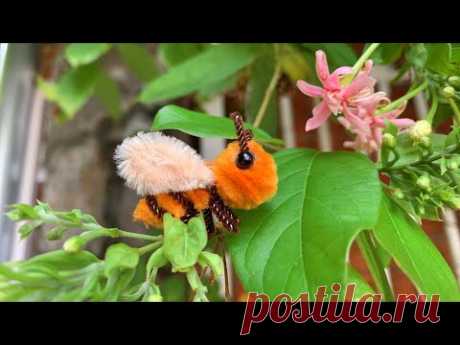 ABC TV | How To Make A Bee With Pipe Cleaner - Craft Tutorial