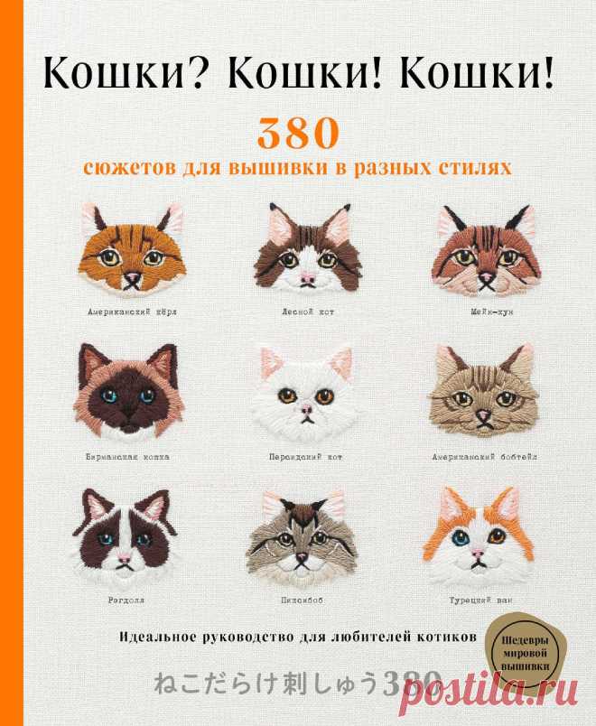 Кошки? Кошки! Кошки!