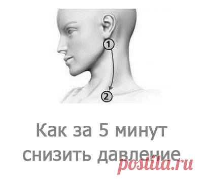 ТОЧКИ ДЛЯ НОРМАЛИЗАЦИИ ДАВЛЕНИЯ.