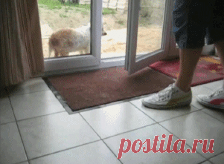 Жуйте руки перед едой! А ноги... опосля..))