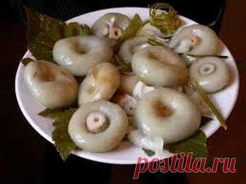 рецепт засолки груздей. ( солим грузди ) Горячий способ