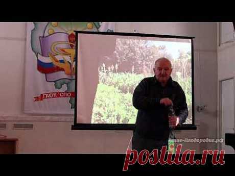 ▶ Семинар Б А Бублика Огородная пермакультура - YouTube