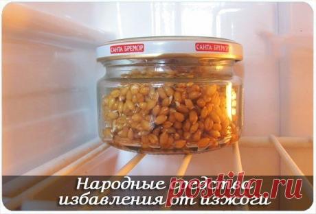 НАРОДНЫЕ СРЕДСТВА ОТ ИЗЖОГИ!!!
Не забывайте делиться с друзьями! 
 
- Гречка 
Это одно из самых действенных народных средств от изжоги. Гречневую крупу на раскаленной сквороде без масла прожарить до темно-коричневого цвета, истолочь и просеять. Принимаем трижды в день на кончике ножа. 
 
- Овес и ячмень 
С незапамятных времён народной медицине известны овёс и ячмень как средства, которые помогают быстро избавиться от изжоги. Просто пожуйте несколько минут зёрна овса или яч...