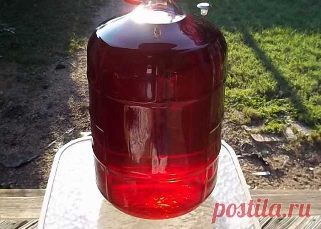 Шикарное, вкусное, ароматное домашнее вино, да еще и с 