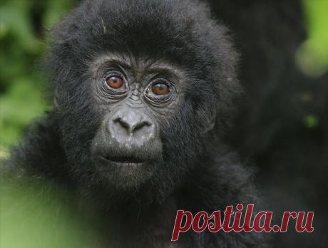 35PHOTO - Sergey Volkov - Детский взгляд на мир