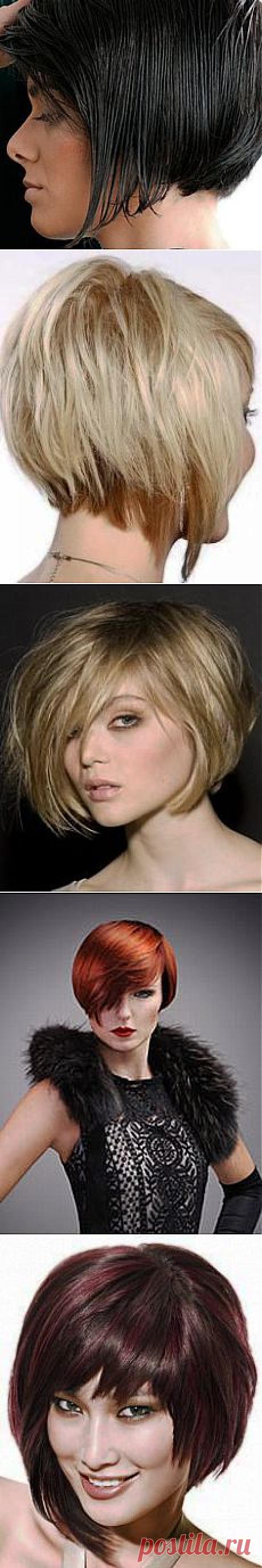 Модные стрижки этой весной / Все для женщины