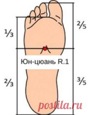 Бессмертные дышат стопами…