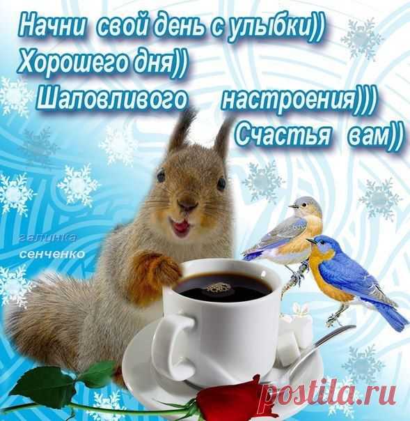 Архив открыток отправленных 22 Декабря 2014 года. Добавили: Елена , Валерий Кувшинов, Александр Ладыга, Валентина Афанаси