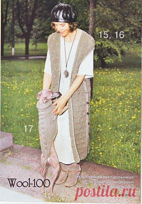 Жилет для левретки (вязание спицами, для животных)