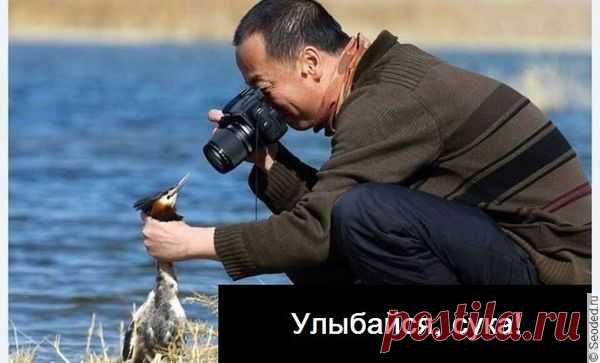 Как заработать фотографу или художнику в Интернете? Как зарабатывать на своих рисунках в Сети? Ответы в 13-ом выпуске рассылки сайта Seoded.ru https://www.seoded.ru/rassylka/13-kak-zarabotat-fotografu-hudozhniku.html