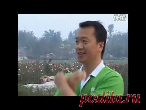 гимнастика очищения (детокс)