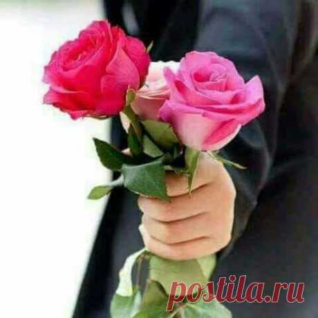 (11) Facebook