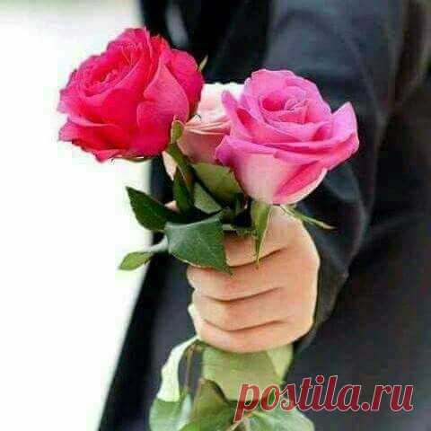 (11) Facebook