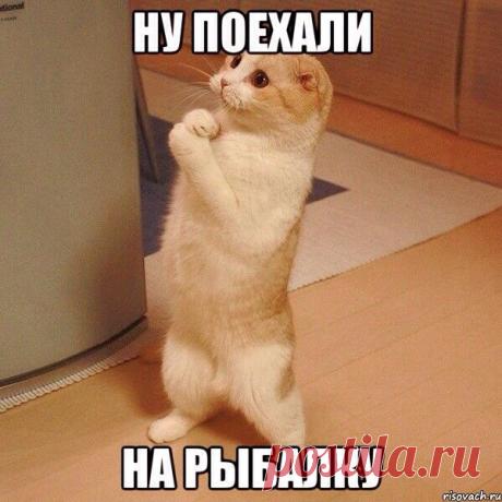 Сергей Носов
