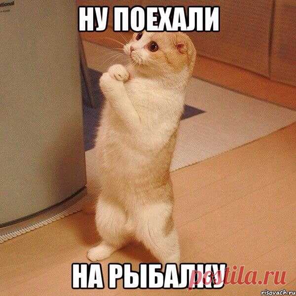 Сергей Носов
