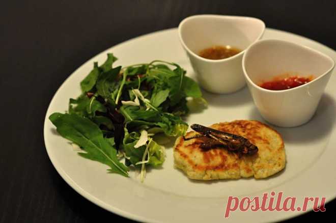 Фестиваль экзотической еды Ghetto Food Festival | Чехия: туризм жизнь недвижимость иммиграция