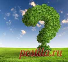 Как избавиться от лямблий — 25 эффективных рецептов народной медицины