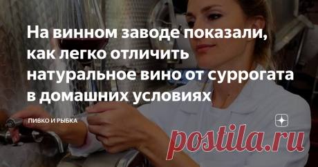 На винном заводе показали, как легко отличить натуральное вино от суррогата в домашних условиях Статья автора «ПИВКО И РЫБКА» в Дзене ✍: Согласитесь, некоторые экскурсии кажутся не всегда бесполезными и малоинформативными.