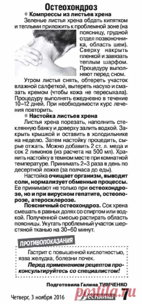 Остеохондроз лечит хрен