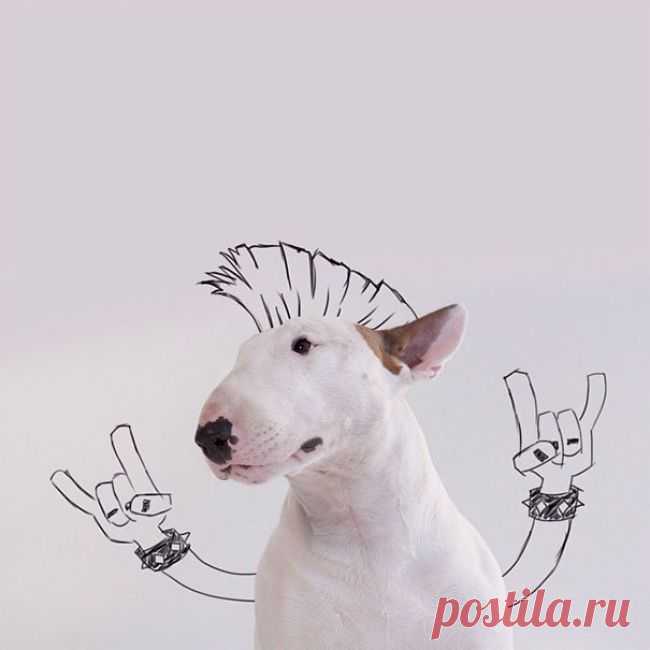 Бывшая жена не оставила мужу ничего, кроме собаки. И вот что он сделал...