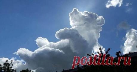 20 удивительных явлений природы, в которые трудно поверить Порой мы забываем о том, как разнообразен и красив наш мир. Сколько всего удивительного происходит вокруг нас, пока мы заняты рутинными делами? Фантазия природы не знает границ, и эти фотографии доказ...