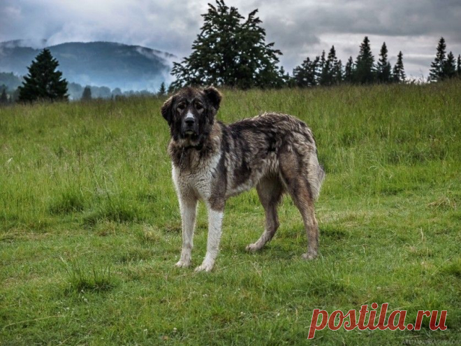 Загадочное место… Трансильвания в объективе Артема Ачкасова — Фотоискусство