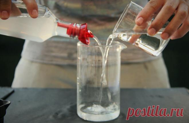 Самогонщик рассказал, как в домашних условиях правильно разводить спирт разной крепости | ПИВКО И РЫБКА | Яндекс Дзен