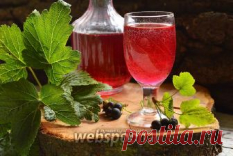 Смородиновый ликёр рецепт с фото, как приготовить на Webspoon.ru