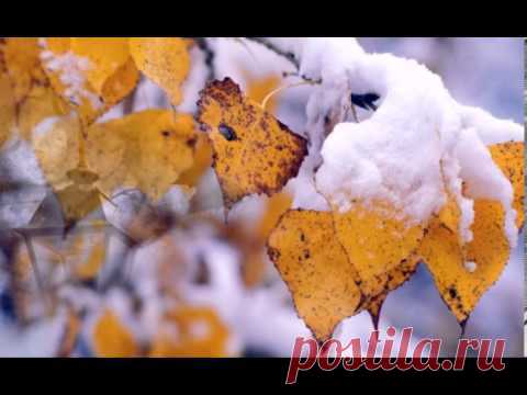 ПРИЯТНОГО ))) | ♥♥♥✿САМЫЕ ДОБРЫЕ ПОЖЕЛАНИЯ ДЛЯ ДРУЗЕЙ✿♥♥♥ | Группы Мой Мир
