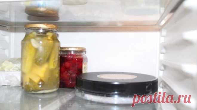 Закаливание семян по правилам